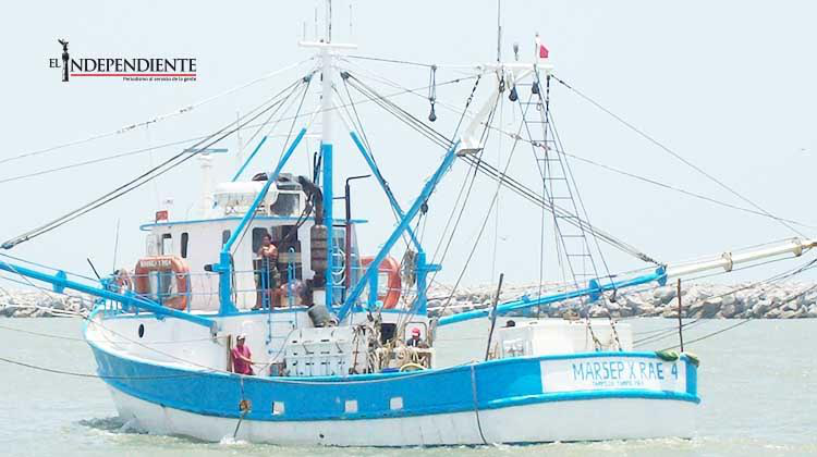 Embarcaciones pesqueras saquean a BCS con permisos "hechizos"