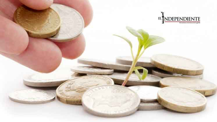 ¿Cómo lograr tu pequeña fortuna en internet?