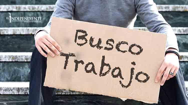 Espera el gobernador crear 8,500 empleos anuales para BCS