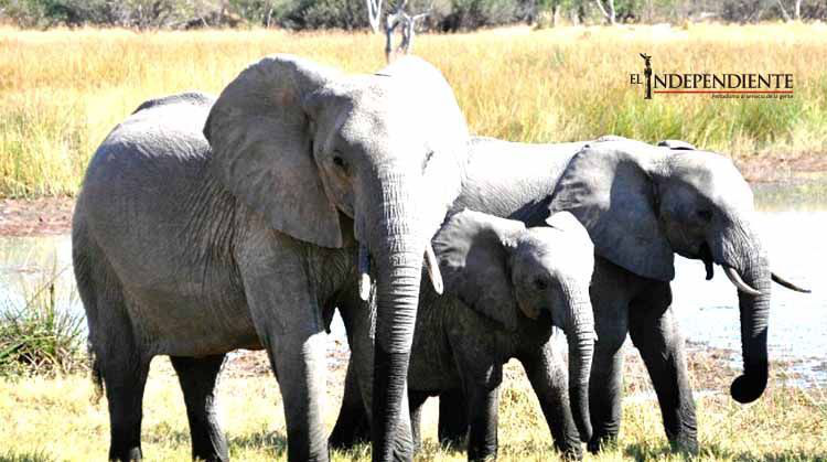 Rajoy se declara listo para formar nuevo gobierno en España