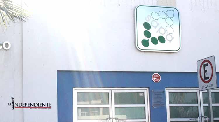 Habrá personal de guardia durante el periodo vacacional en las oficinas del SAPA