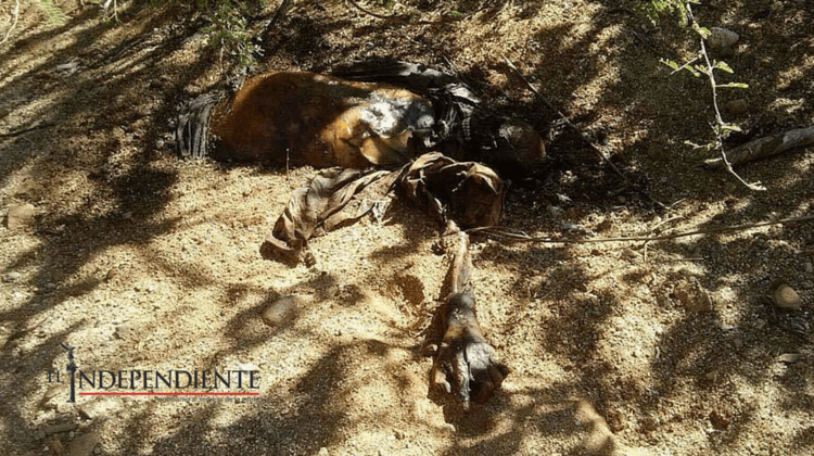 Encuentran cadáver semienterrado en el ejido Melitón Albañez