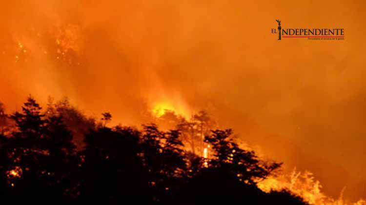 Aumentan incendios forestales en Brasil