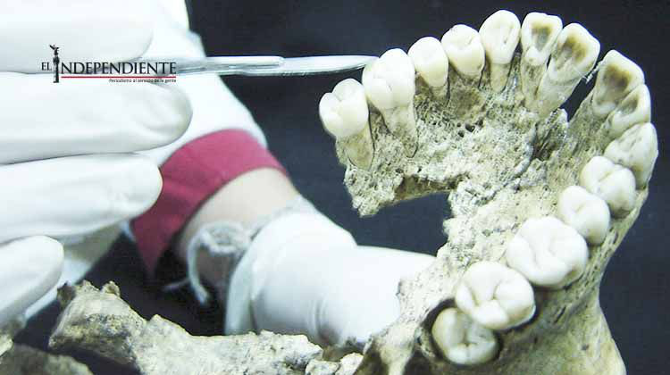 Especialista del INAH profundiza sobre sacrificios en Tenochtitlan