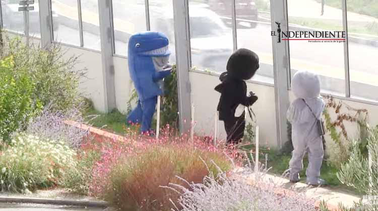 Conoce a el "Mundo humano"