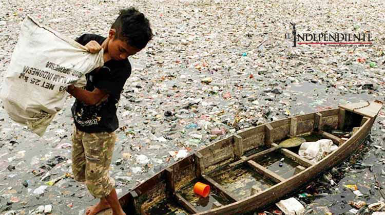 En 2050 habrá más plástico en el mar que peces, alertan científicos