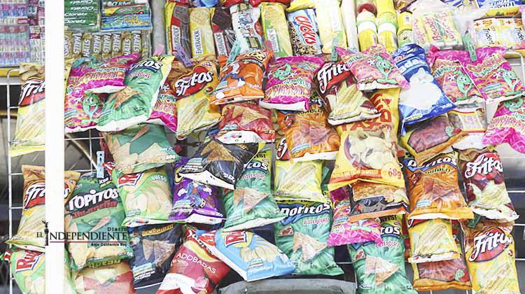 Pide diputada que denuncien a las escuelas que vendan comida chatarra