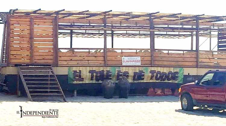 Piden mano dura contra los “gandallas” de El Tule