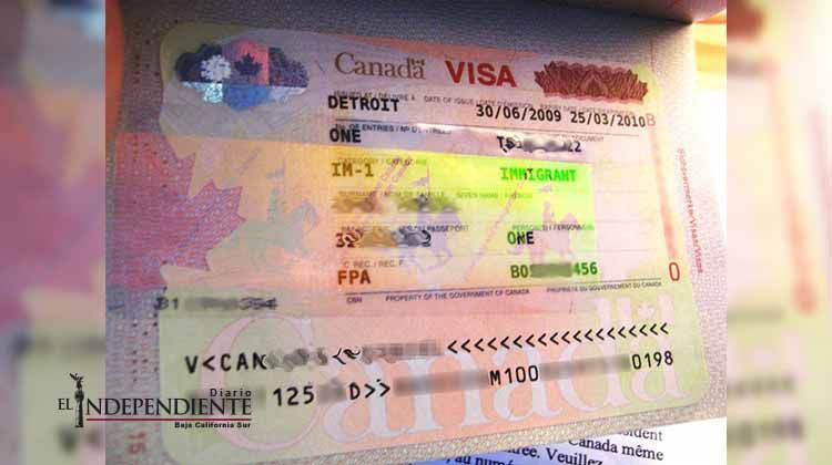 Dos casos apuntan hacia posible transmisión sexual del zika