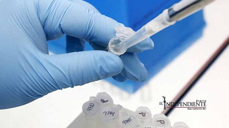 Restringe Francia transfusiones de sangre por zika