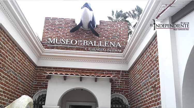 Museo de la ballena podría abrir sus puertas el 25 de febrero