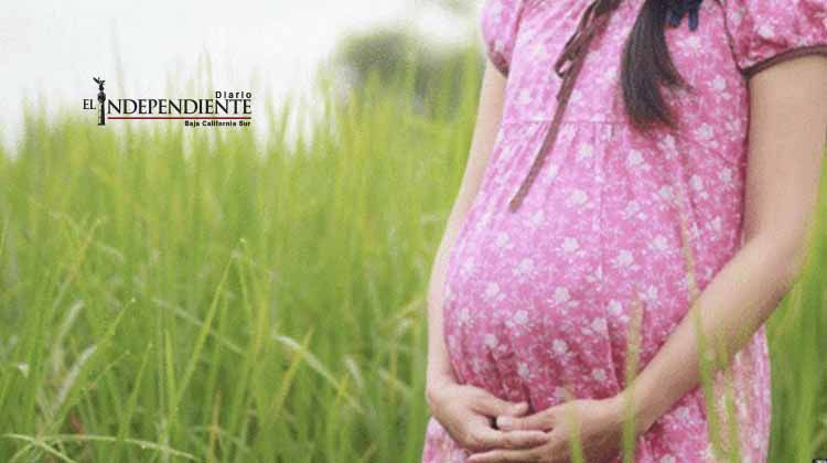 'Paraguay no apoya el aborto ante casos de zika', dice ministro