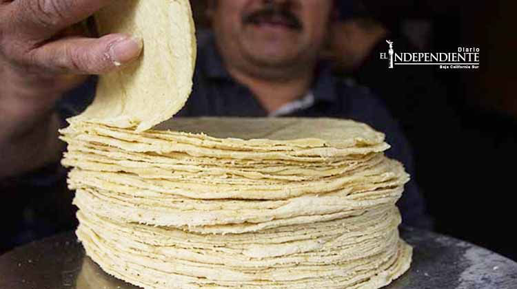 No hay razón para aumento al precio de la tortilla: Sagarpa