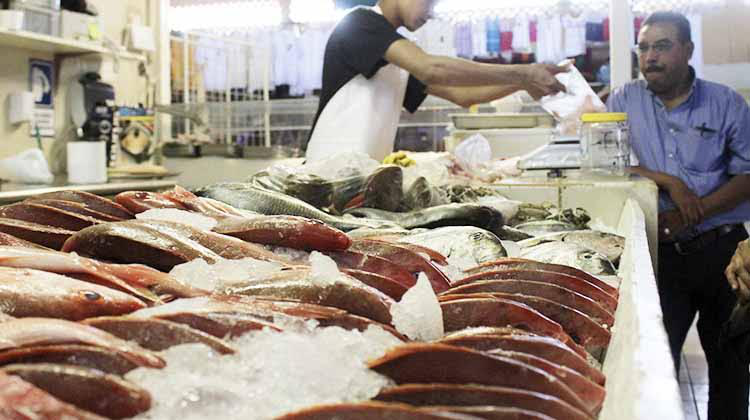 Vigilará COEPRIS a marisqueros y pescaderías durante la cuaresma