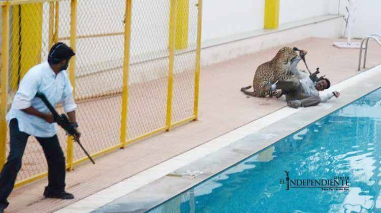 Se escapa el leopardo que atacó una escuela en India