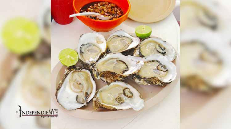 Vigilará la COEPRIS en Los Cabos establecimientos donde se comercie con pescado y marisco