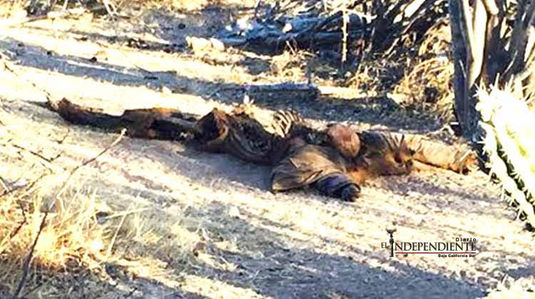 Localizan osamenta en brecha de la carretera a San Juan de la Costa