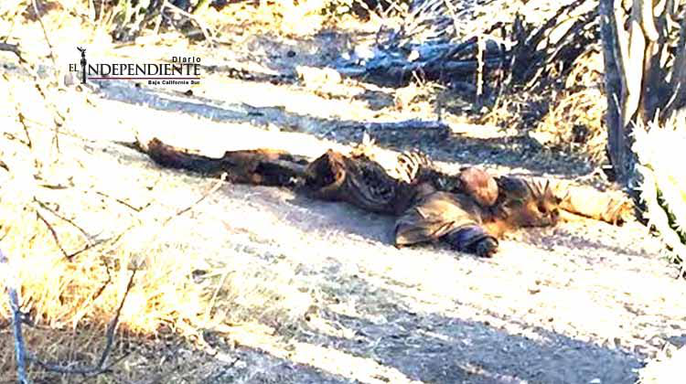 Persona localizada el domingo fue asesinada de un disparo en la cabeza