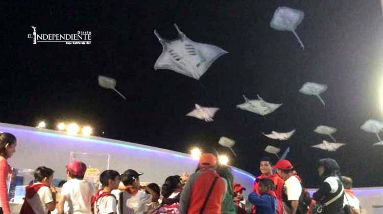 Museo de Historia Natural muestra evolución de las especies