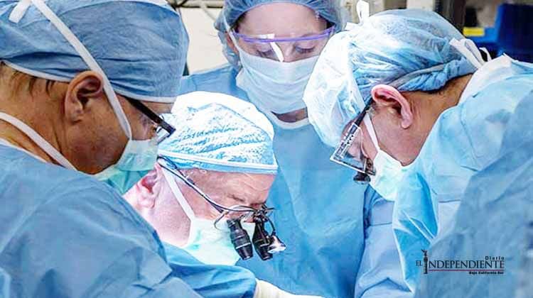 Realizan primer trasplante de útero en Estados Unidos