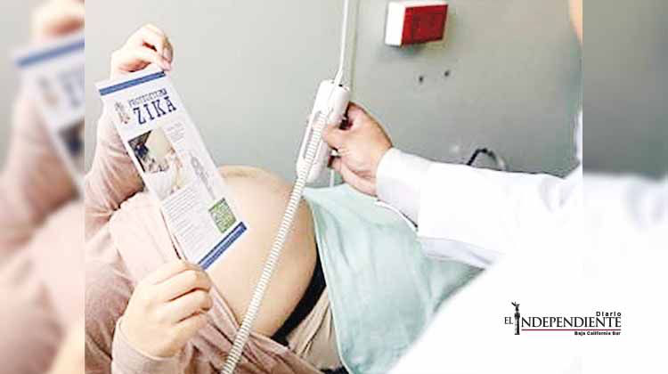 Escala contagio del zika en EU