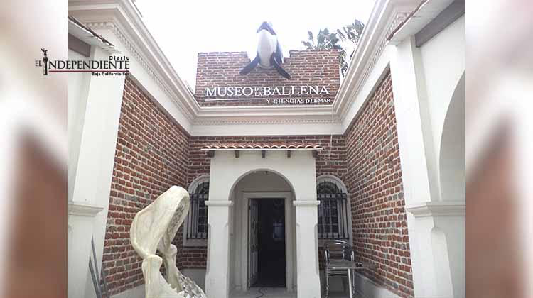 Museo de la Ballena tendrá accesos para personas con alguna discapacidad