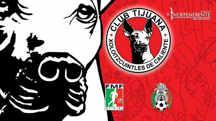 Proyecto de Xolos Tijuana en BCS podría iniciar para mediados de año