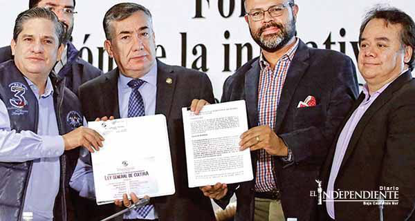 Ley General de Cultura, propuesta ciudadana