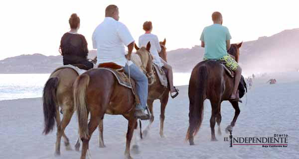 Tour de caballos sin autorización para circular en la playa, advierte Inspección Fiscal