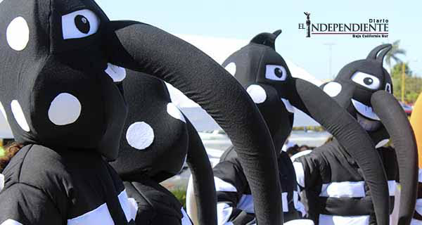 Inicia "Operativo Larva" para combatir Dengue, Zika y Chikingunya