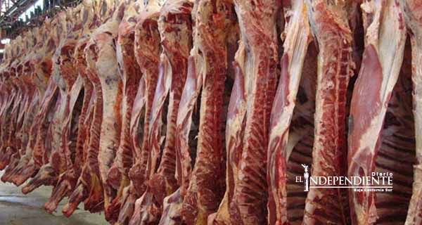 Es un error, eliminar normas de control sanitario sobre carnes importadas: diputados
