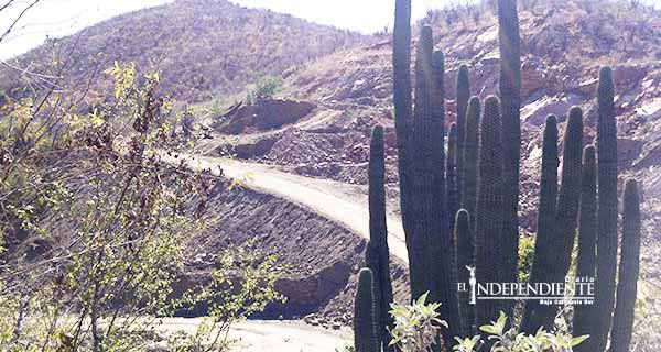 Asegura PROFEPA que -Los Cardones- no está operando