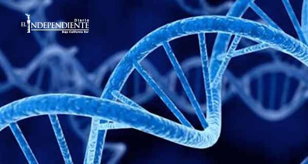 Nueva lectura de ADN podría ayudar a entender la evolución humana