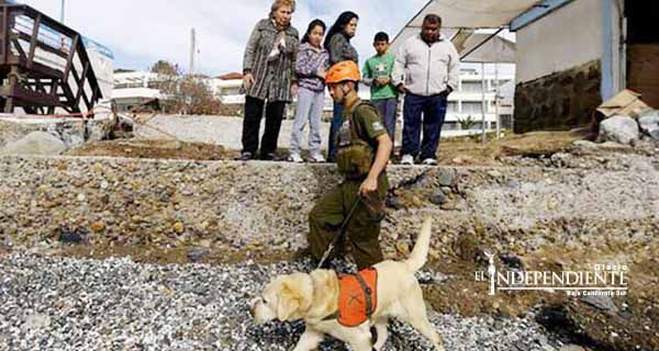 Temblor de magnitud 5.2 remece Chile