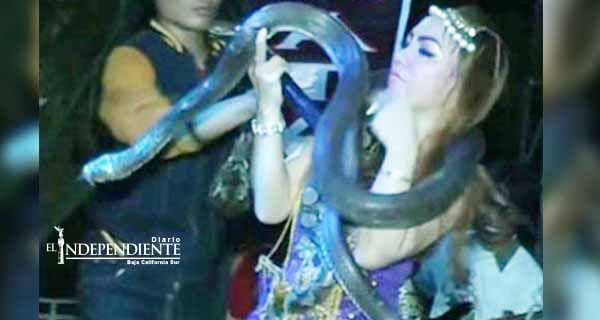 Cantante muere en el escenario tras ser mordida por una cobra