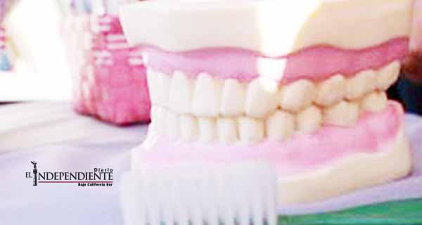 Más de 54 mil estudiantes recibirán atención bucal en BCS