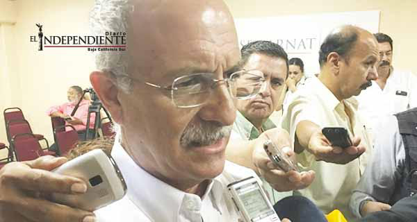 Existen en BCS cuatro especies de tortugas en "estado crítico de extinción": CONANP