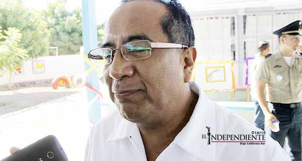 Picaduras de araña requieren atención inmediata, más que de antídotos: SSa