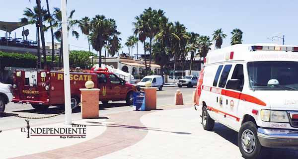 Por panal de abejas, evacúan primaria 18 de Marzo en La Paz