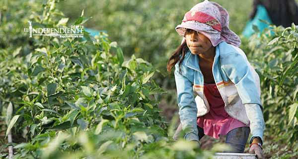 La explotación y trabajo infantil y la sombría historia de la creación del día del niño