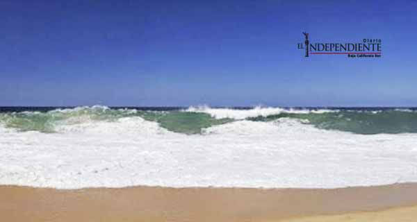 Aparece cadáver de una mujer cerca del campo tortuguero de Los Cabos