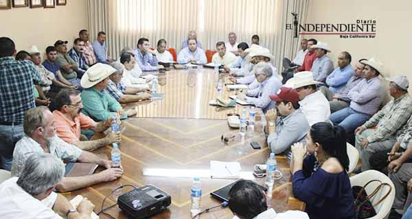 Intervino el Gobierno para resolver el conflicto de productores de trigo de BCS