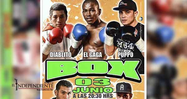 Anuncian función de box para el 3 de mayo "Explosión, Juventud y Poder