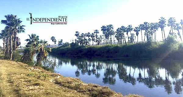 Nombran Comisión Edilicia l para atender problemática del Estero Josefino