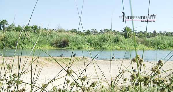 Sin fecha aún para tomar acciones en favor del rescate del Estero Josefino