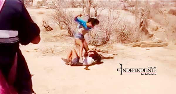 DIF hace llamado a padres de familia para evitar casos como la brutal golpiza a jovencita de CSL