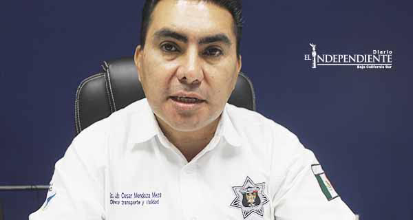 Creación de “El Torito” está en manos del Cabildo del XV Ayuntamiento