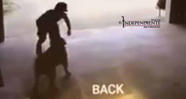 Niño escapa todos los días para abrazar un perro