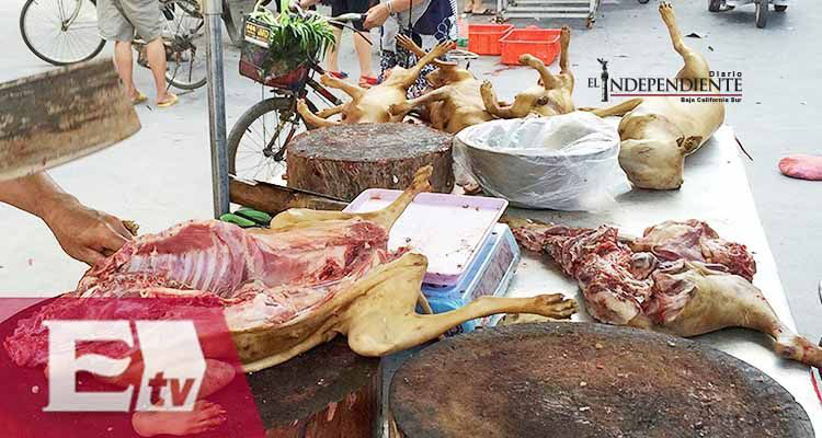 Todo listo en China para el festival de carne de perro