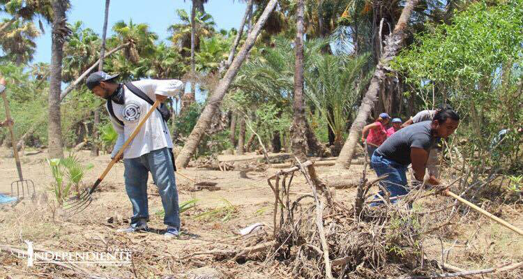 Realizan acciones de limpieza en el Estero Josefino